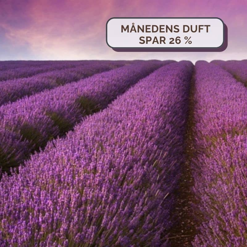 Lavendel Duft, Duftlys med lavendel, lavendellys, dufte med lavendel