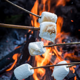 Duftlys med vanilje eller sojalys med bål, duftlys med træd duftlys med marshmallows