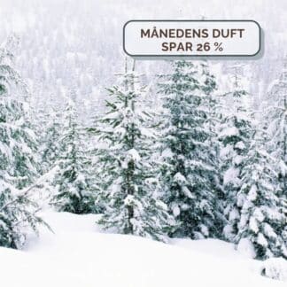 Sleighride in the Snow