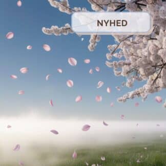 duftvoks med bomuldsduft Cherry blossom in cotton fields