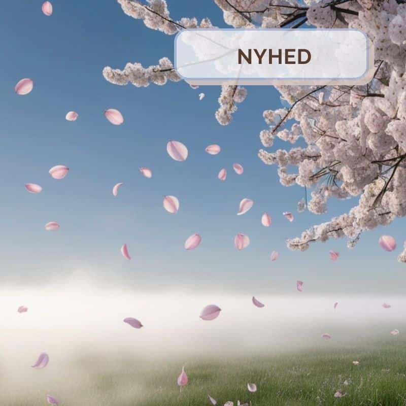 Cherry Blossoms in Cotton Fields - Plade (60-100 timers duft)