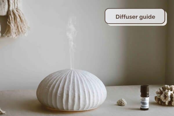 Diffuser med damp eller diffuser med pinde? Læs guiden her